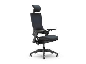 CLATINA 247 Series High Back Ergonomic Office Desk Chairs and Executive Chairs with Back Support, Black CLATINA 247 Series High Back Ergonomic Office Desk Chairs and Executive Chairs with Back Support, Black