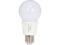 GPI  A19 LED Light Bulb/ E26 Base / 6W / 35 Watt Replace / 305 Lumen / Non Dimmable / 3000k  / Warm White