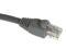 Rosewill RCW-581 10ft. /Network Cable Cat 6 Gray - Retail