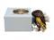 ENERMAX EG465P-VE FMA 2.2 460W Power Supply