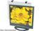 Innovera IVR46402 Protective Antiglare LCD Monitor Filter for 17