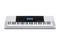 Casio CTK-4200 61-Key Piano Style Touch Response Portable Keyboard