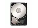 Seagate ST310005N1A1AS-RK Internal Hard Drives