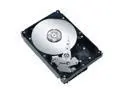 Seagate ST315005N4A1AS-RK Internal Hard Drives