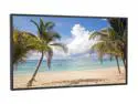 NEC Display Solutions P461 Large Format Display