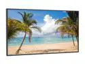 NEC Display Solutions P401-AVT Large Format Display