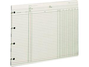 Wilson Jones GN2D Accounting, 9-1/4 x 11-7/8, 100 Loose Sheets/Pack Wilson Jones GN2D Accounting, 9-1/4 x 11-7/8, 100 Loose Sheets/Pack
