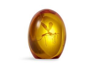 Jurassic Park Mosquito In Amber Resin Paper Weight | Measures 3 Inches Tall Jurassic Park Mosquito In Amber Resin Paper Weight | Measures 3 Inches Tall