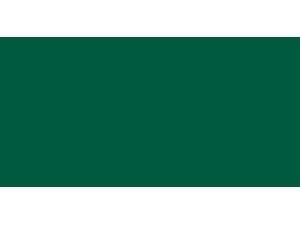 Liquitex Basics Acrylic Paint 4 Ounces/Tube-Permanent Green Deep Liquitex Basics Acrylic Paint 4 Ounces/Tube-Permanent Green Deep