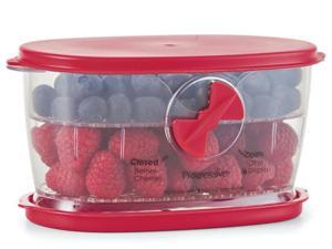 Progressive Berry Keeper Progressive Berry Keeper