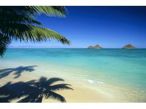 Hawaii Oahu Lanikai Beach With Calm Turquoise Water Mokulua Islands Background Palm Fronds And Shadow Foreground Poster Print (19 x 12) Hawaii Oahu Lanikai Beach With Calm Turquoise Water Mokulua Islands Background Palm Fronds And Shadow Foreground Poster Print (19 x 12)
