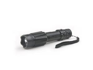 300 Lumen W/Hidden 6.5Volt Stun Black 300 Lumen W/Hidden 6.5Volt Stun Black