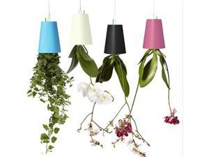 Upside Down Plant Holder Pot Hanging Sky Planters Plant Holder Pot Ceiling Random Colour Upside Down Plant Holder Pot Hanging Sky Planters Plant Holder Pot Ceiling Random Colour