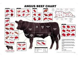 Angus Beef Chart Meat Cuts Diagram Poster 24x36 Angus Beef Chart Meat Cuts Diagram Poster 24x36