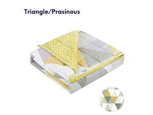 Minky Weighted Blanket 25 lbs60x80 TrianglePrasinous Queen Size Weighted Blanket for Adults Soft Fleece Heavy Blanket with Glass Beads Minky Weighted Blanket 25 lbs60x80 TrianglePrasinous Queen Size Weighted Blanket for Adults Soft Fleece Heavy Blanket with Glass Beads