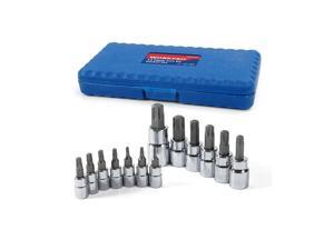 WORKPRO 13-piece Torx Bit Socket Set T8-T60, S2 Steel WORKPRO 13-piece Torx Bit Socket Set T8-T60, S2 Steel