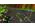 Mario Kart Wii w/Wheel Wii Game Nintendo