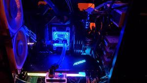 c95626b917984a559b99bdba9eef88f2.jpg