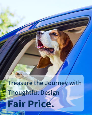 Treasure the Journey with Thoughtful Design, Fair Price.