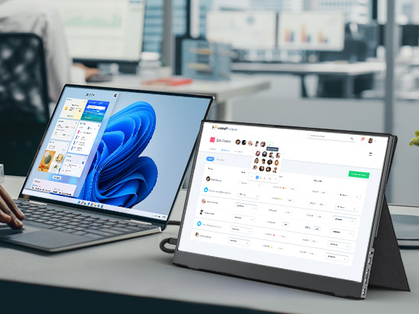 portable monitor
