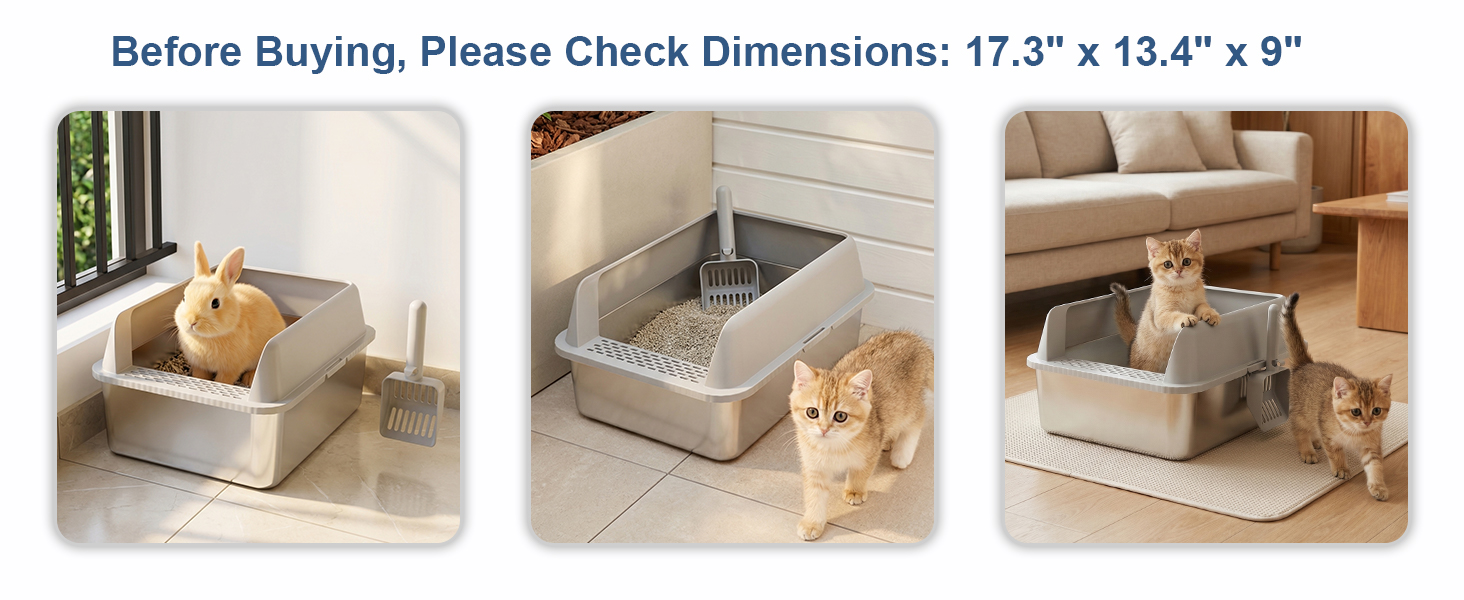 litter box