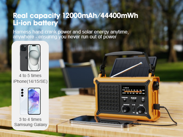 Real Capacity 12000mAh