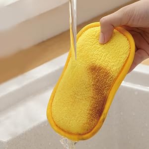sponges