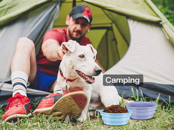 collapsible dog bowls