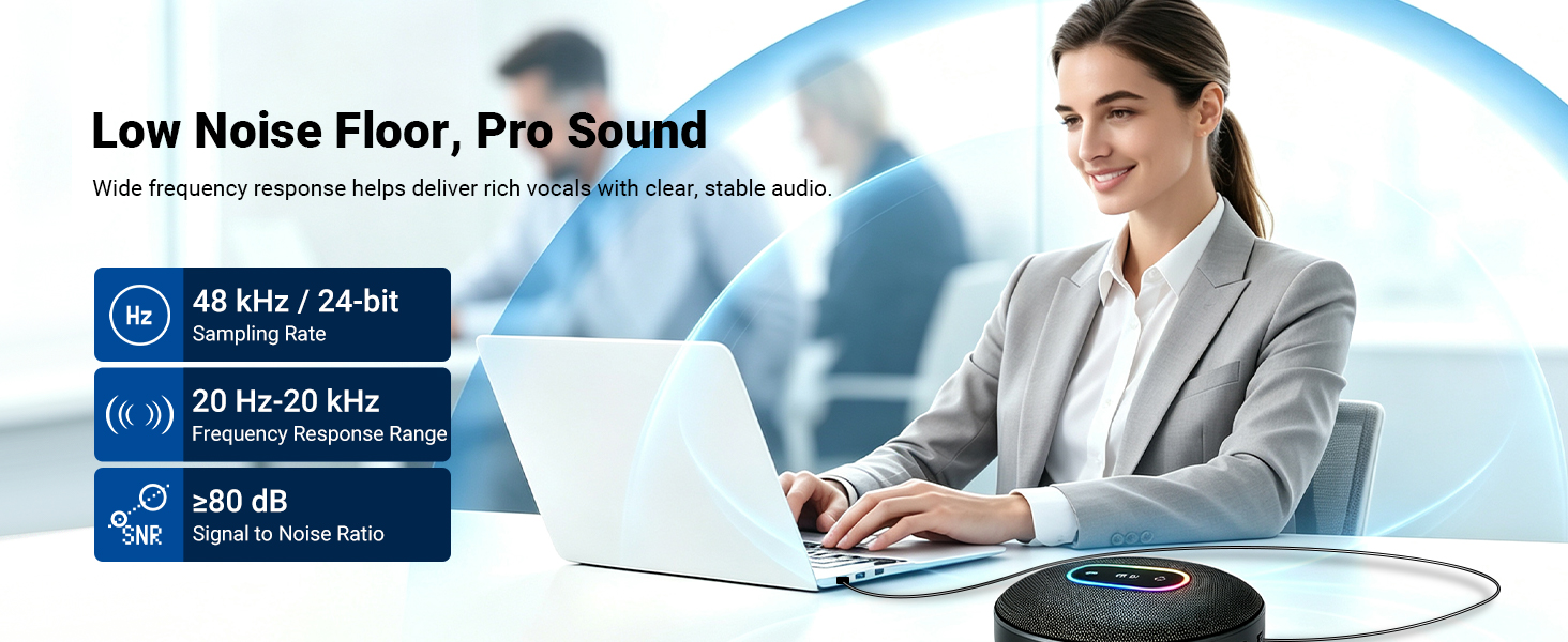 Low Noise Floor, Pro Sound