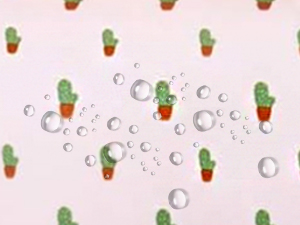 123