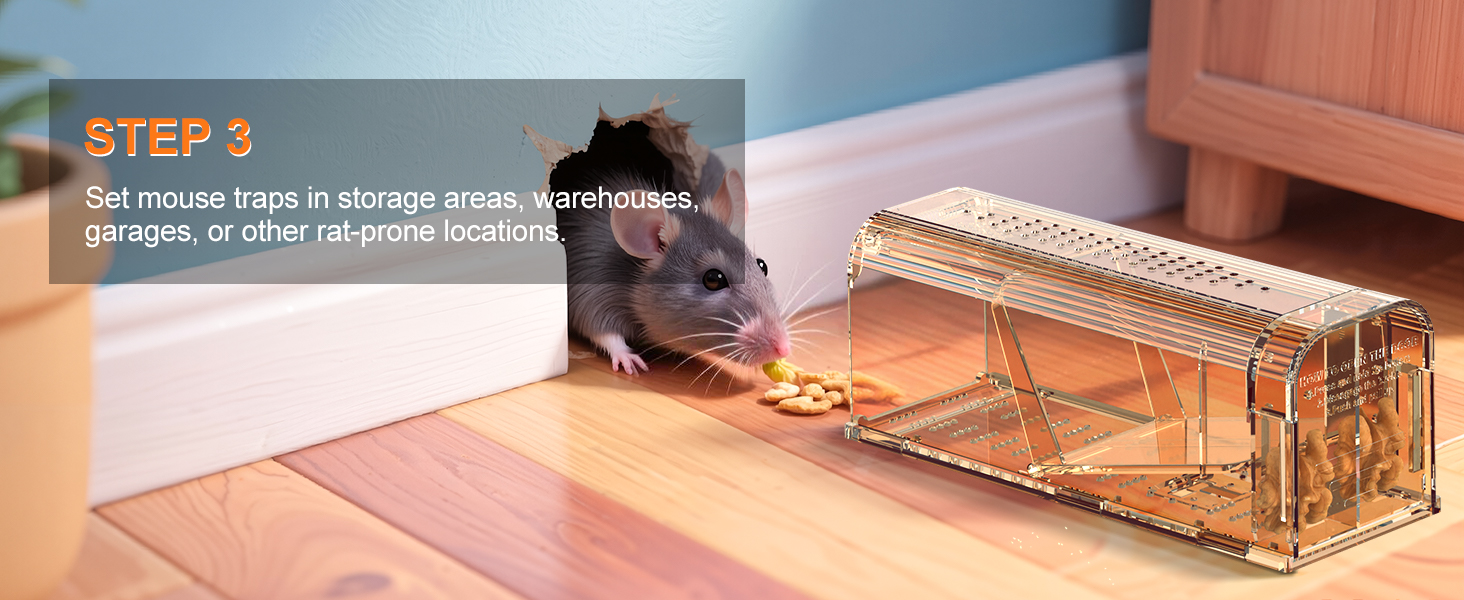 no kill mouse traps