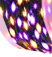 Halloween Lights
