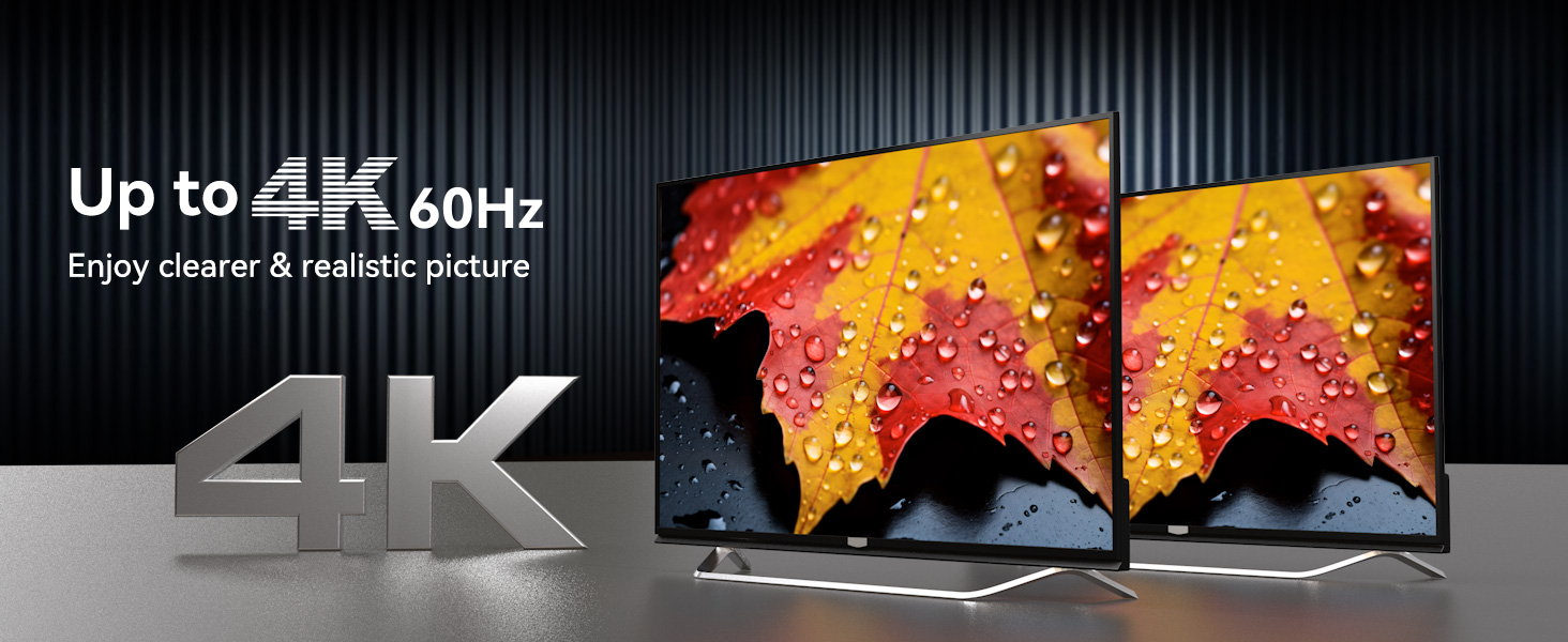 Two 4K television displays showing autumn leaf imagery, with '4K 60Hz' text and logo promoting clear, realistic picture quality.