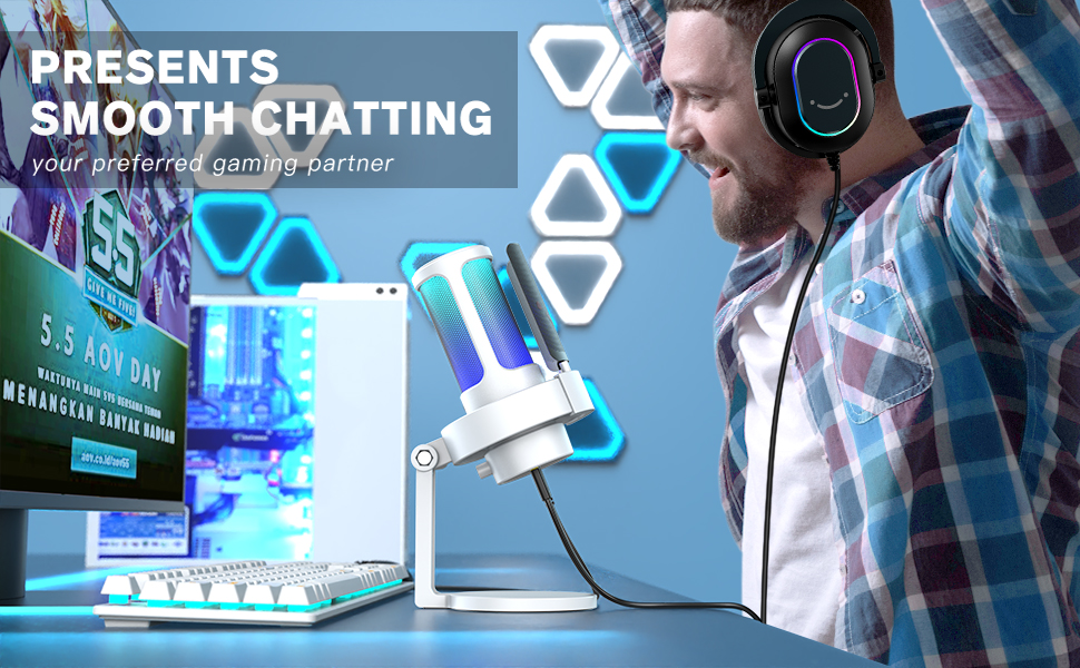 gaming setup microphone