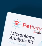 top left corner micro analysis