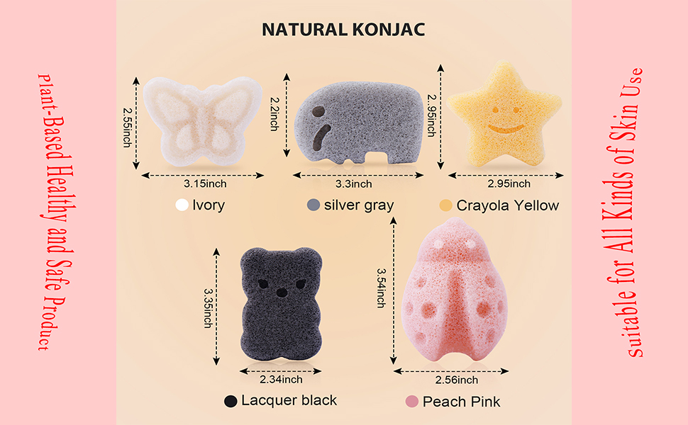 5PCS KONJAC SPONGE STYLE01--1