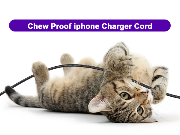 chew proof iphone charger cord