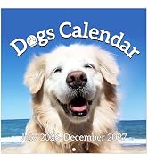 Wall Calendar 2026-2027 - 18-Month Calendar 2026-2027 from Jul. 2026 - Dec. 2027, 12" x 24" (Open...