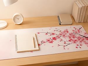 Study & Planning