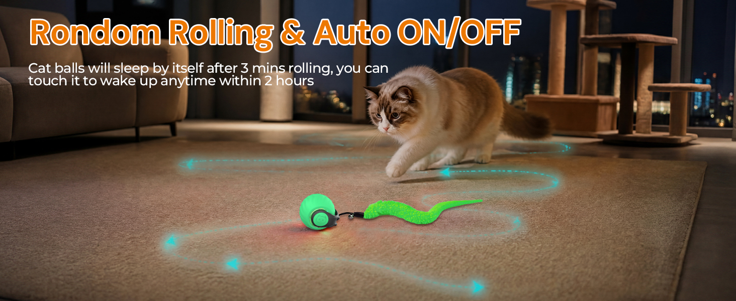 cat toys indoor