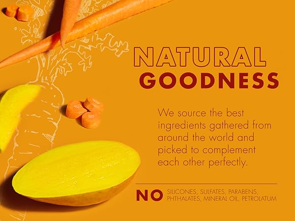 Carrots and mangos and white carrot illustrations on orange background with text.