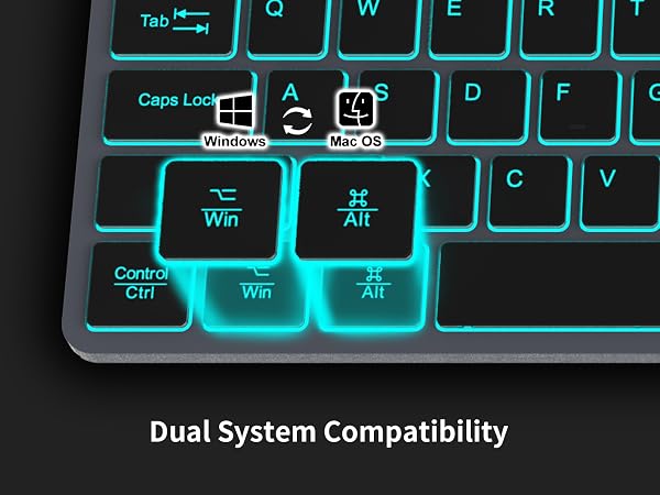 dual system