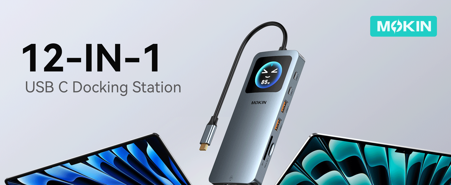 docking station dual monitor