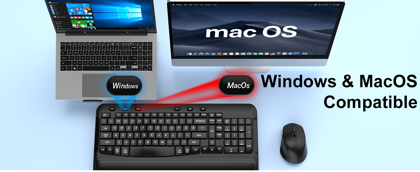 Windows & MacOS Compatible
