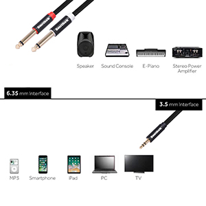 3.5mm male to dual 6.35 a+2