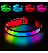 PWOD LED Dog Collar, Light Up Dog Collar USB Rechargeable, Nylon Adjustable Comfortable Soft Brig...