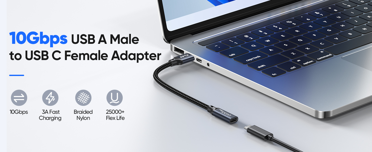 usb c female to usb male adapter