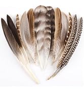 MehelloFeather Pheasant Feathers 12Pcs 5-9 Inch Turkey Feathers 6 Style for DIY Crafts Hat Floral...