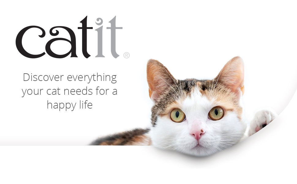 Discover everything your cat needs for a happy life