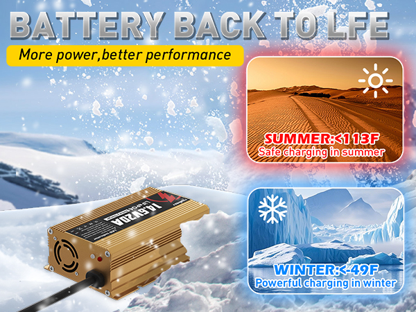 12v lifepo4 battery charge